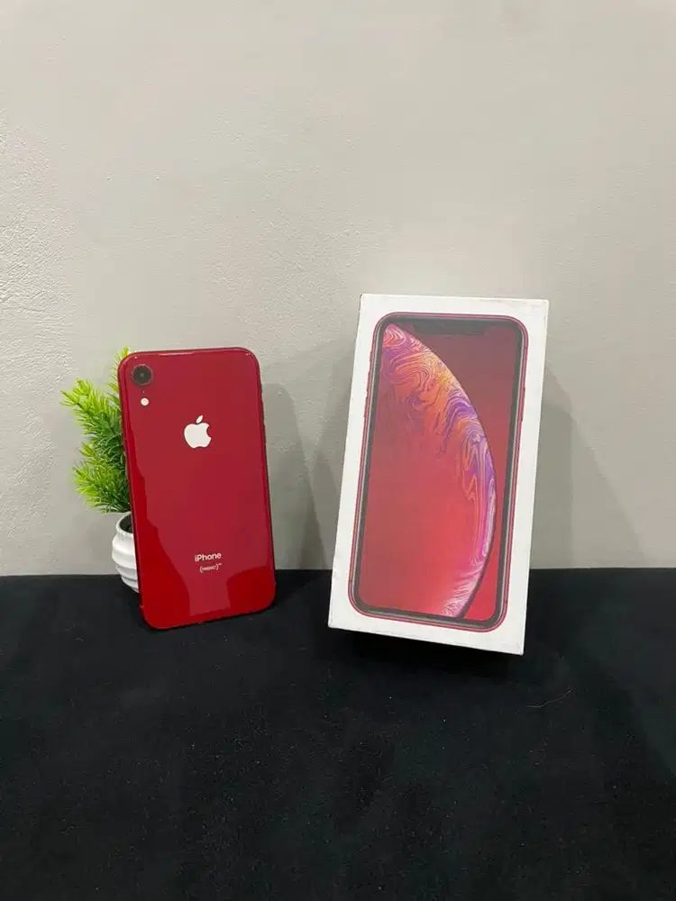 IPhone XR 128GB Red mulus Fullset BH 100% Sinyal SmartFren Only