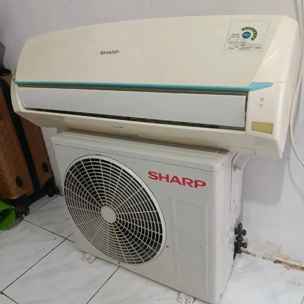 AC Sharp 1/2 PK r32