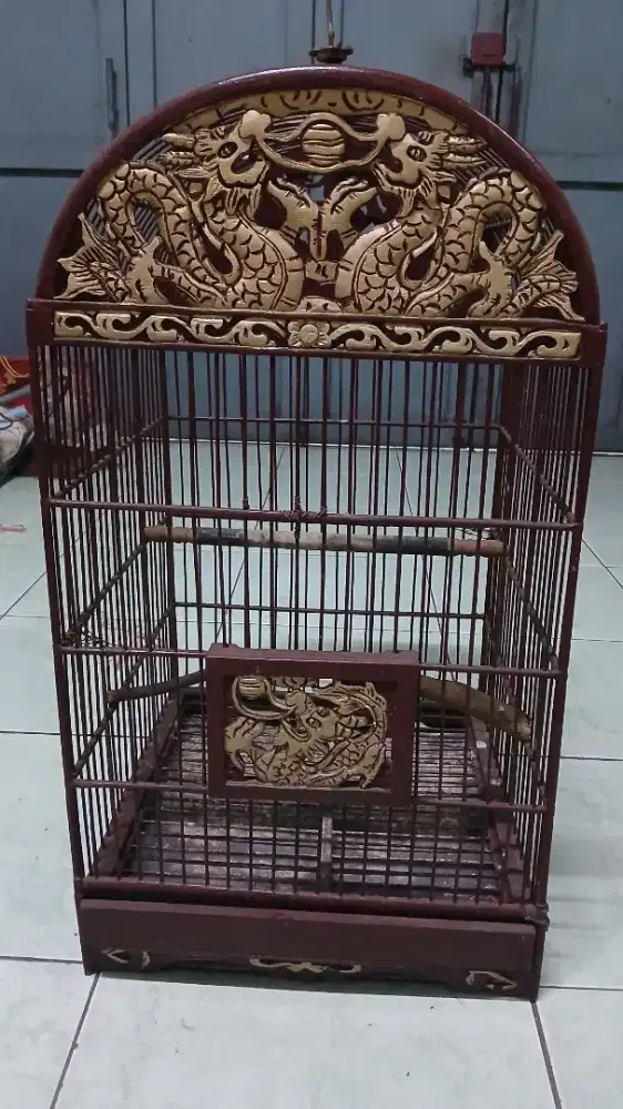 Burung sangkar jalak dll