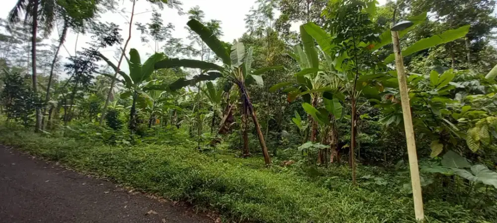 DIJUAL Tanah SHM.. Di Karangnongko, Gedangan, Tuntang, Kab. Semarang