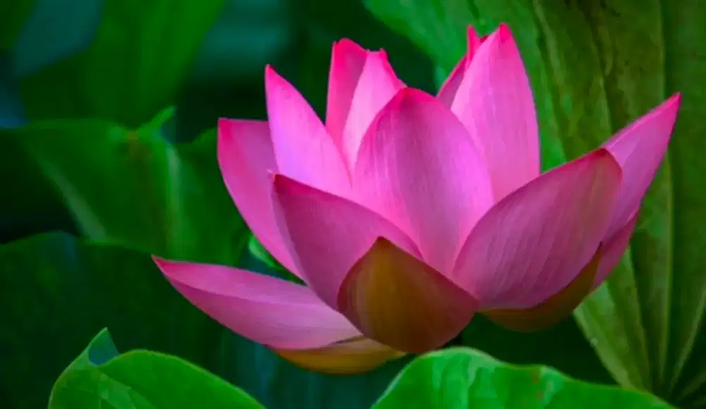 Mencari karyawati menjaga toko bangunan