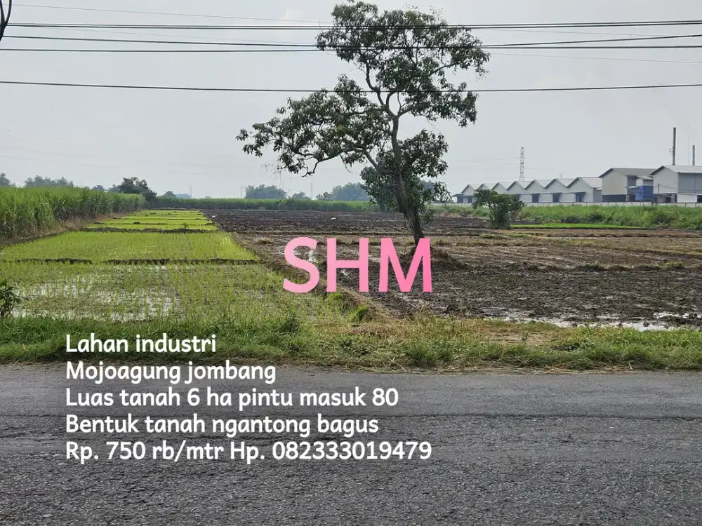 Lahan industri mojoagung jombang