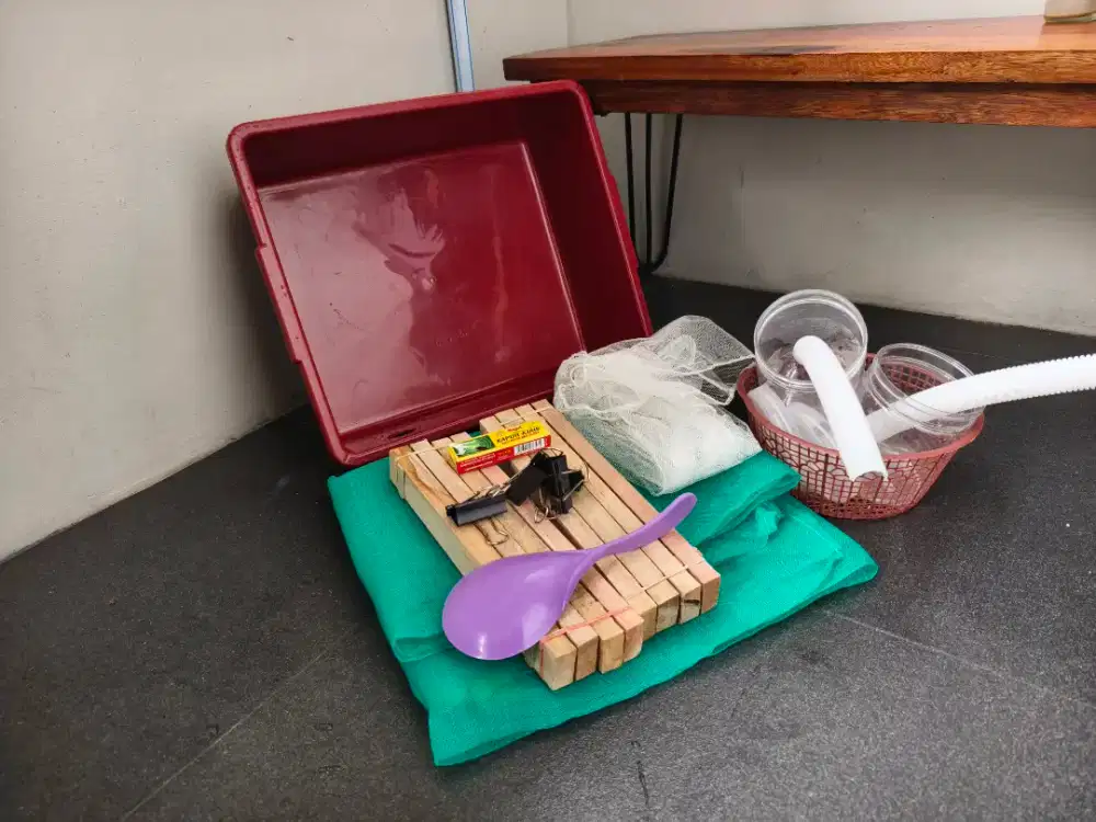 Gratis paket budidaya maggot BSF