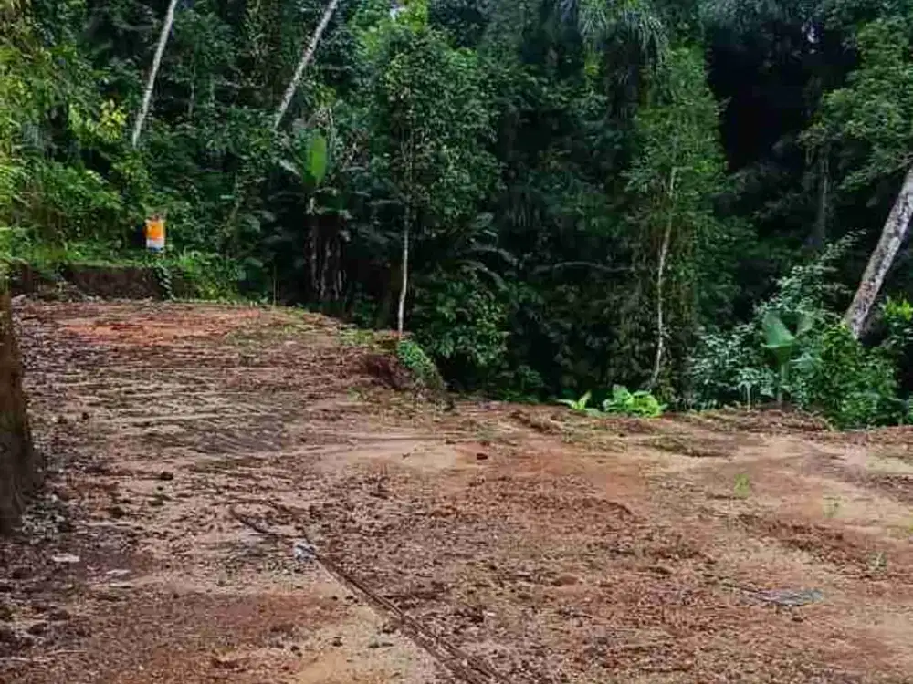 Tanah Los Sungai View Jungle di Tegalalang Ubud Bali