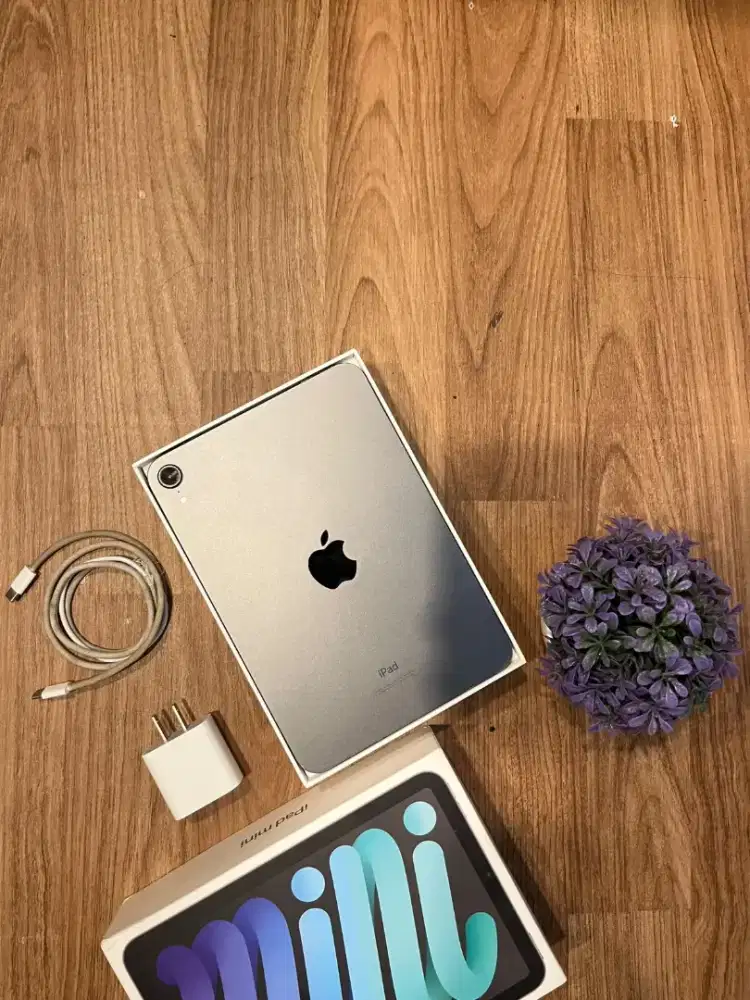 IPAD MINI 6 256GB INTER SECOND