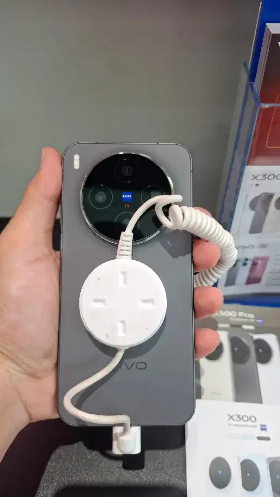 Vivo X300 12/256
