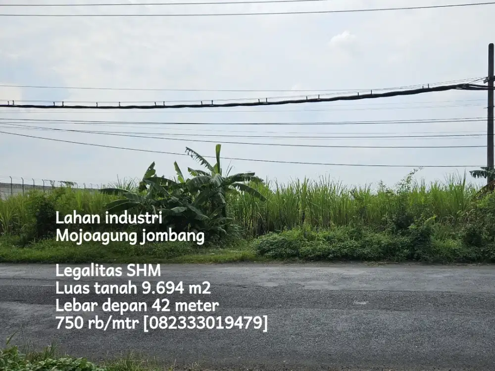 Lahan industri mojoagung jombang