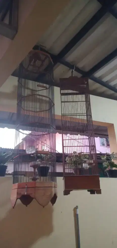 2 Kandang branjangan siap pakai