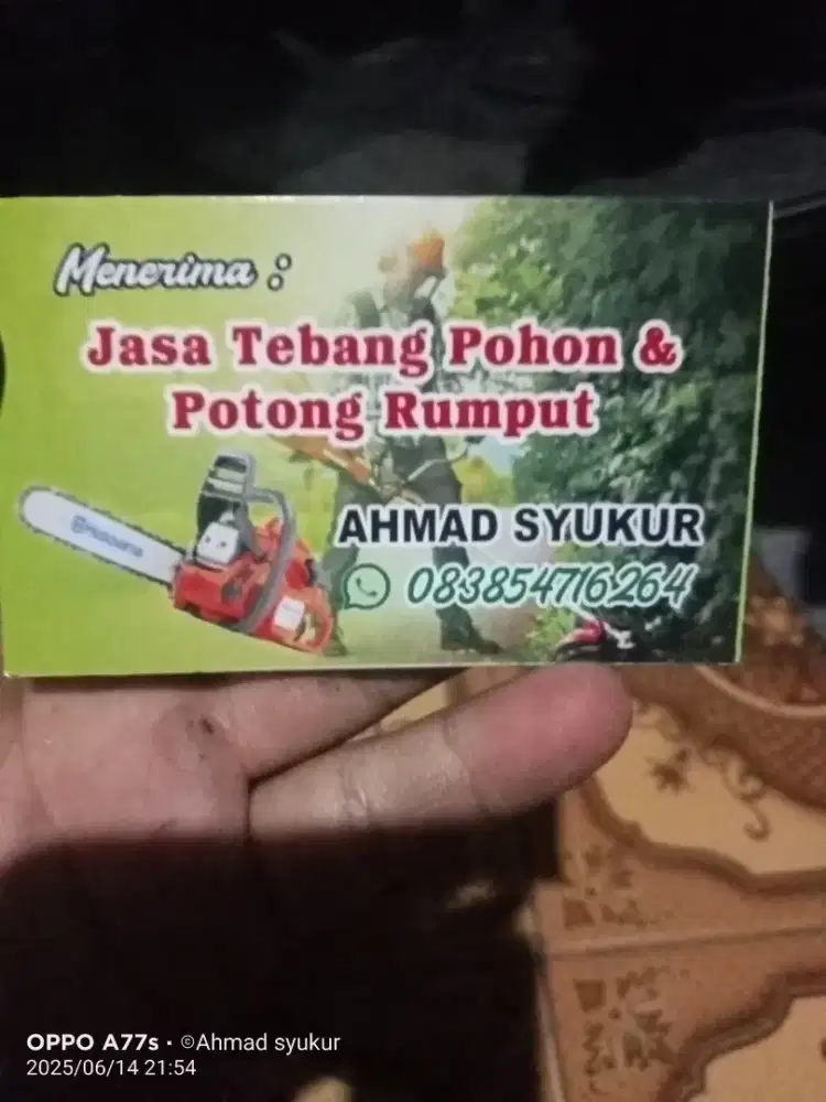 Jasa tebang pohon