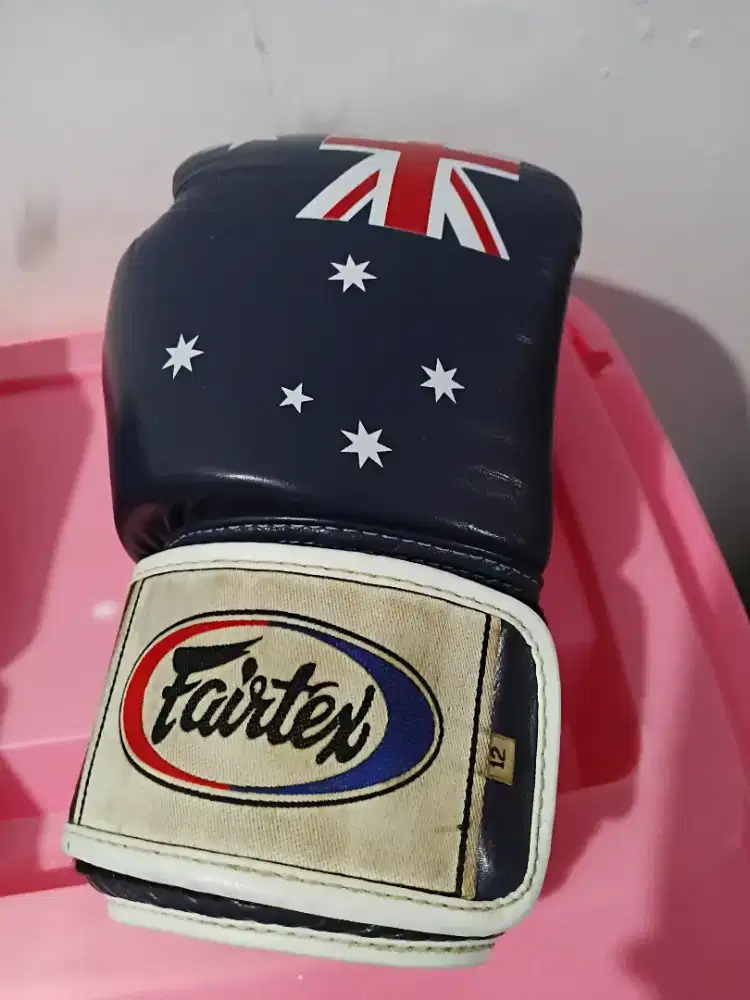 Gloves Fairtex ukuran 12