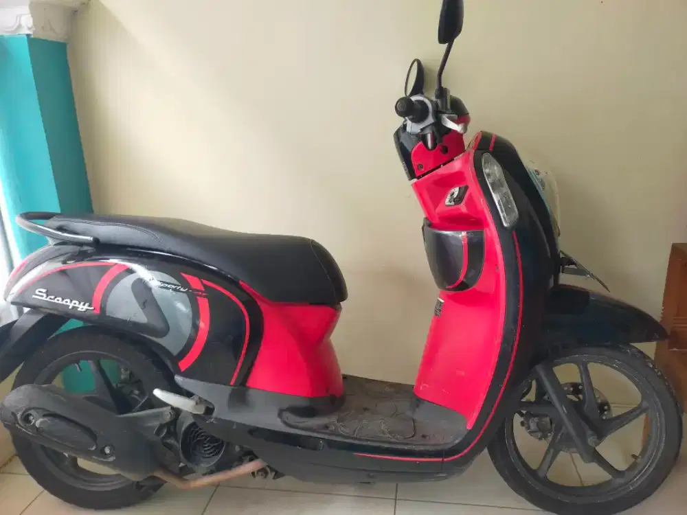 Scoopy 2013 pajak hidup