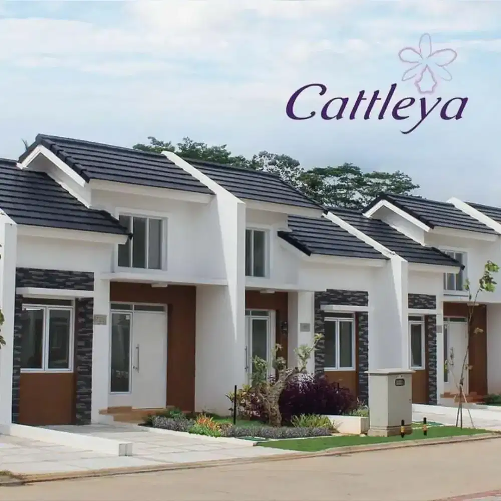 Dicari ART PP Setengah Hari