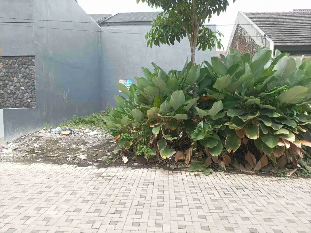 Tanah Kavling Dekat Kampus Ternama  Luas 108 Meter di Arumba Tunggulwulung