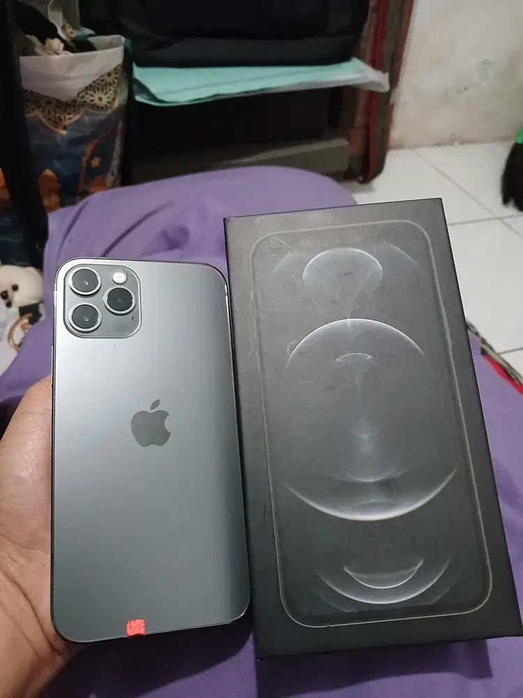 Iphone 12 pro 256gb murah