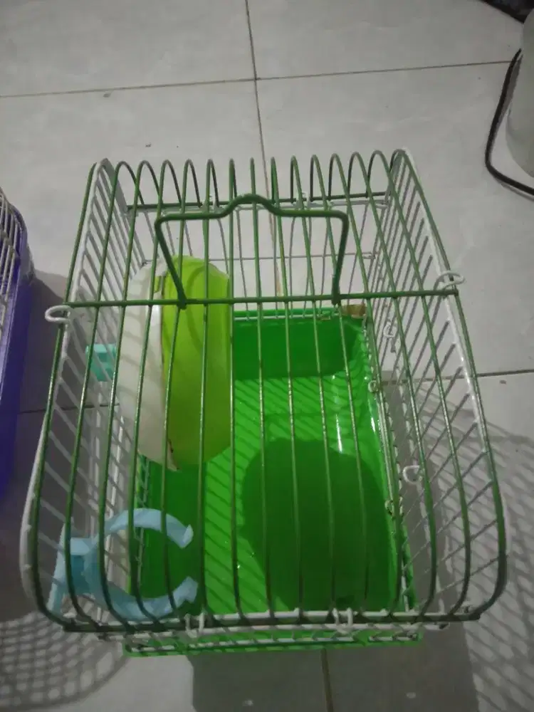 kandang  hamster