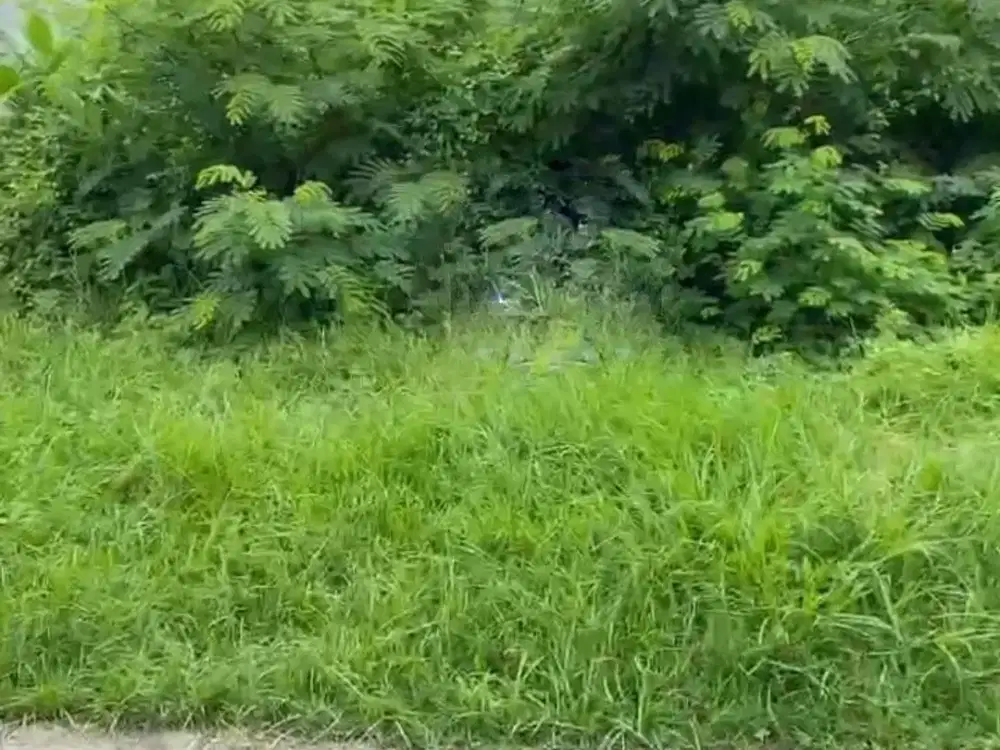 Dijual Tanah Kavling Perumahan One Gate Pantai Mentari, Kenjeran