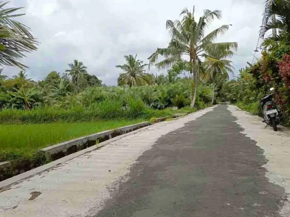 tanah donokerto jln sleman turi