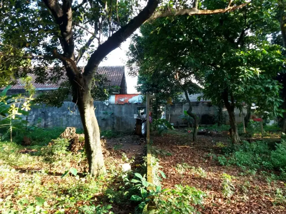 Dijual Cepat Tanah Untuk Pembuatan Cluster di Jatibening