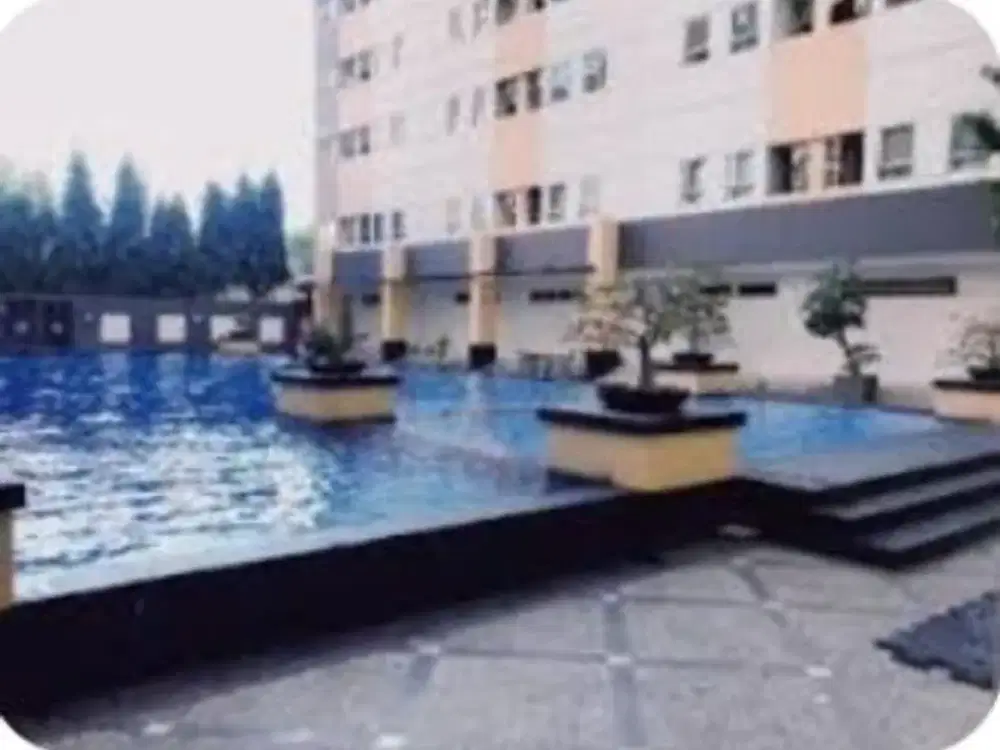 Disewakan Apartemen Puncak Permai  Tower B Lantai 6 View Pool Darmo Permai