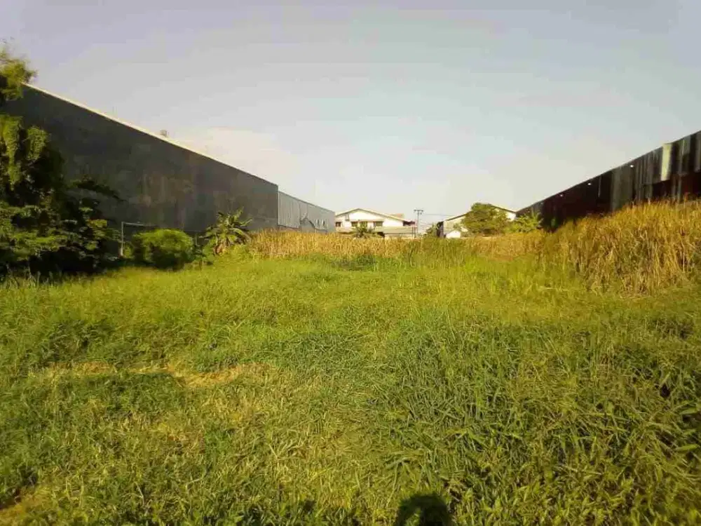 Dijual Tanah Harga Njop 9,6Jt/Mtr Kedung Cowek Surabaya Utara