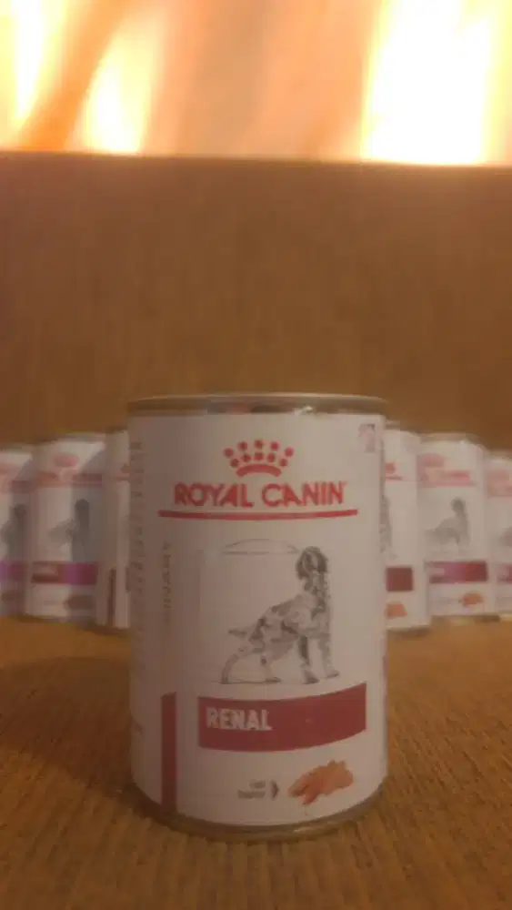 Royal Canin Renal Makanan Anjing