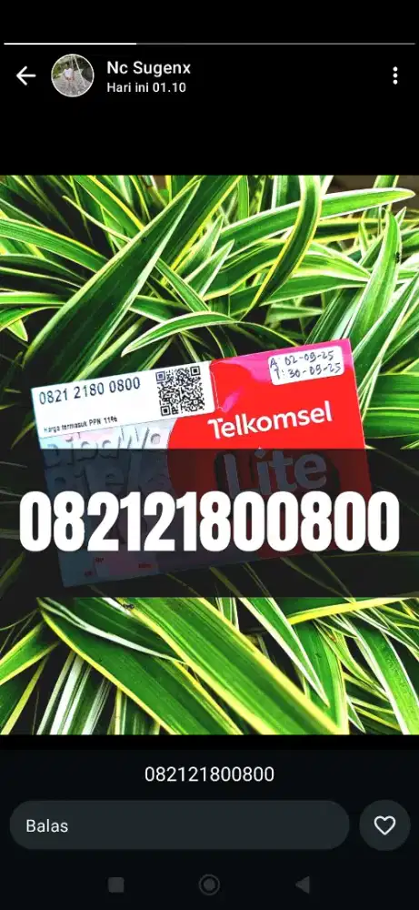 Nomor cantik telkomsel simpati 800800