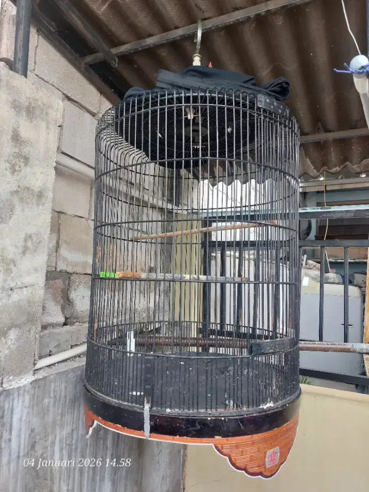 Kandang Burung Murai