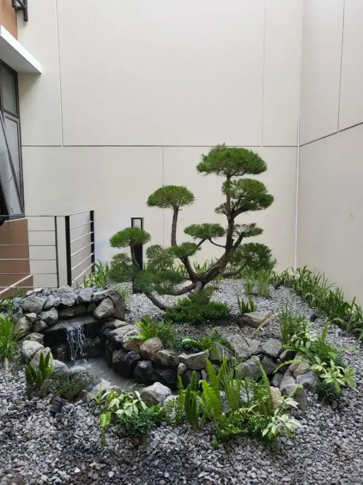 Dicari Tukang Taman Harian