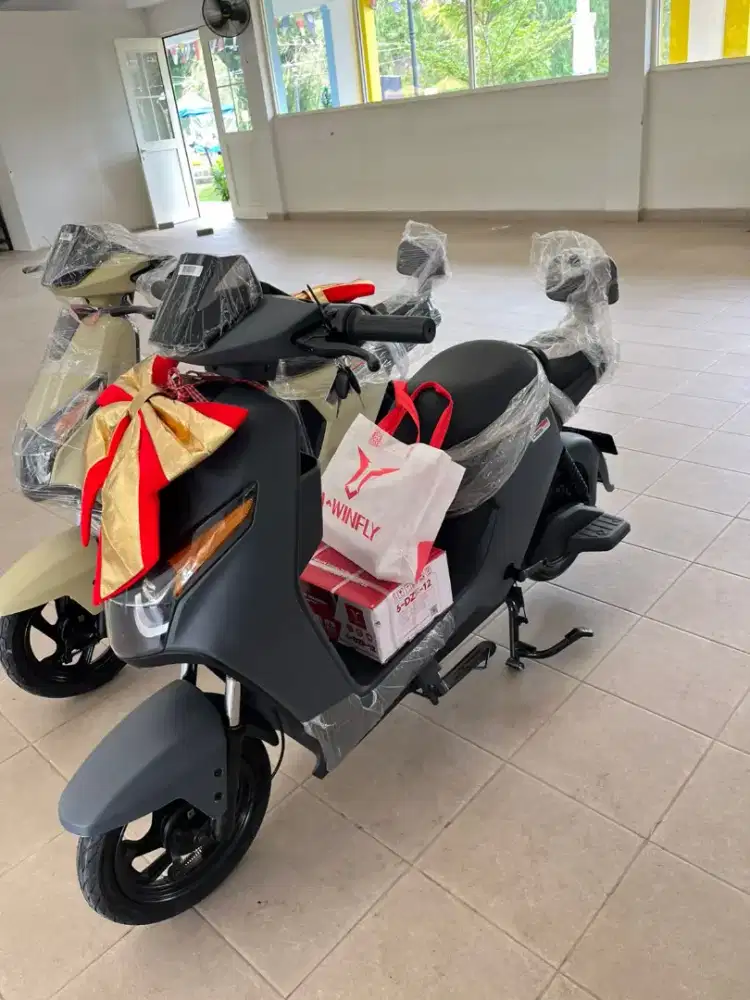 Sepeda listrik uwinfly d65