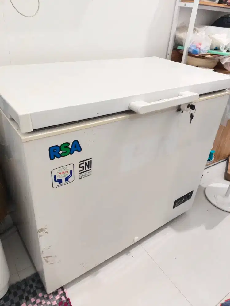 Freezer RSA 220L