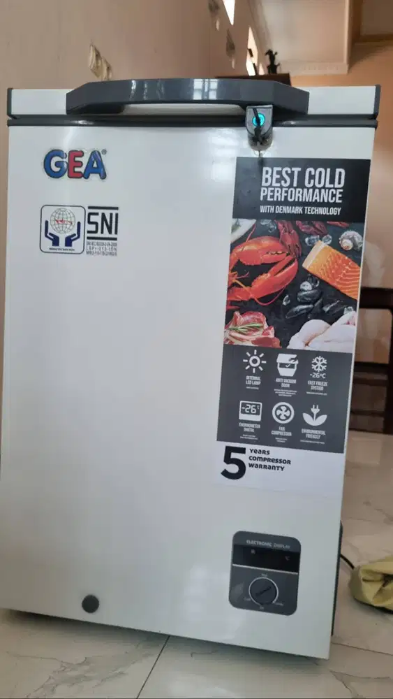 Freezer gea 100 Liter