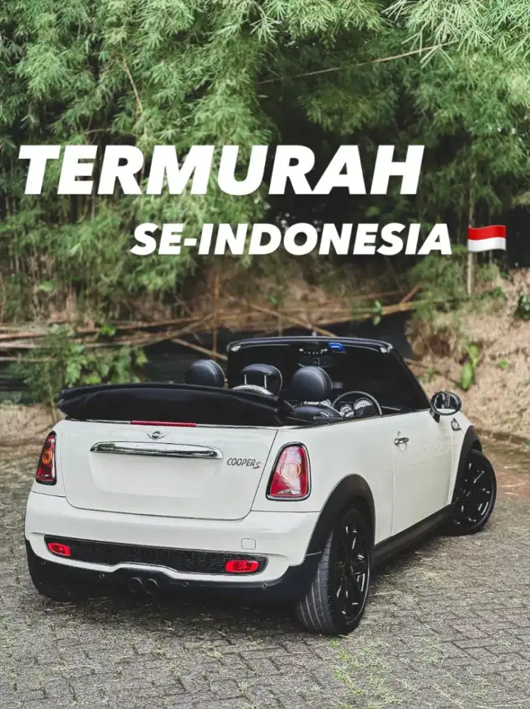 CASH MINI Cooper S Cabrio