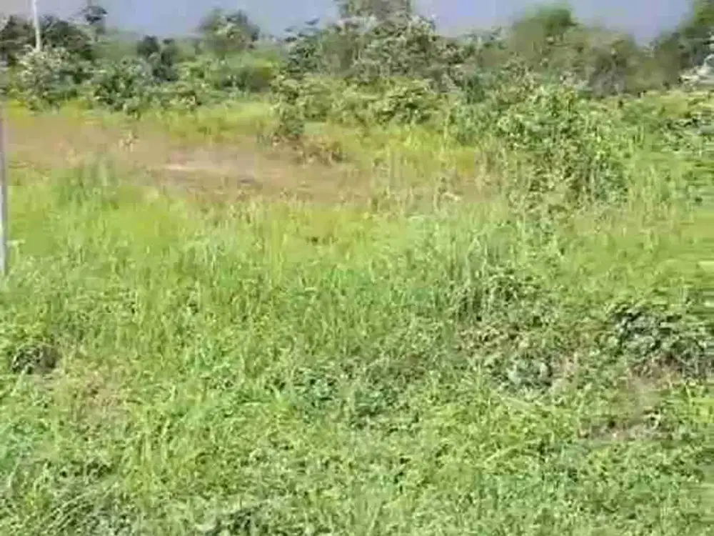 JUAL CEPAT TANAH DI BALIKPAPAN KALIMANTAN TIMUR