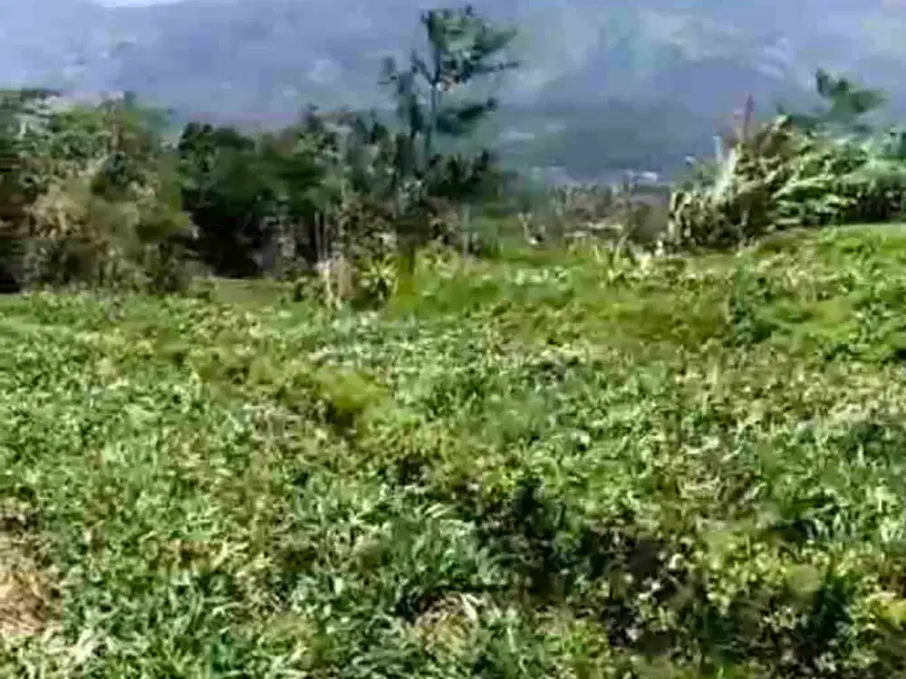 Tanah trawas dengan View gunung yang indah sekali pemandangan Loss