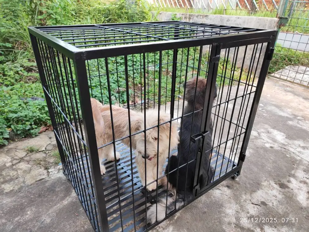 Kandang Anjing ras Besar