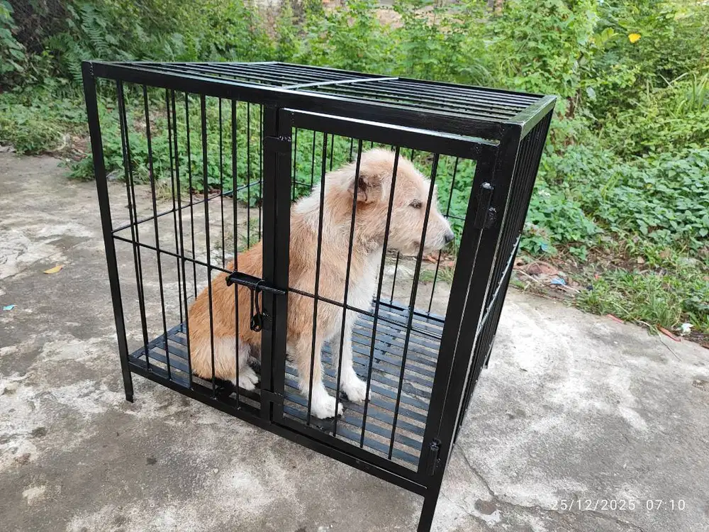 Kandang Anjing ras Kecil