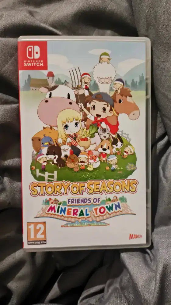 Nintendo Switch–Harvest Moon Story of Seasons: Friends of Mineral Town