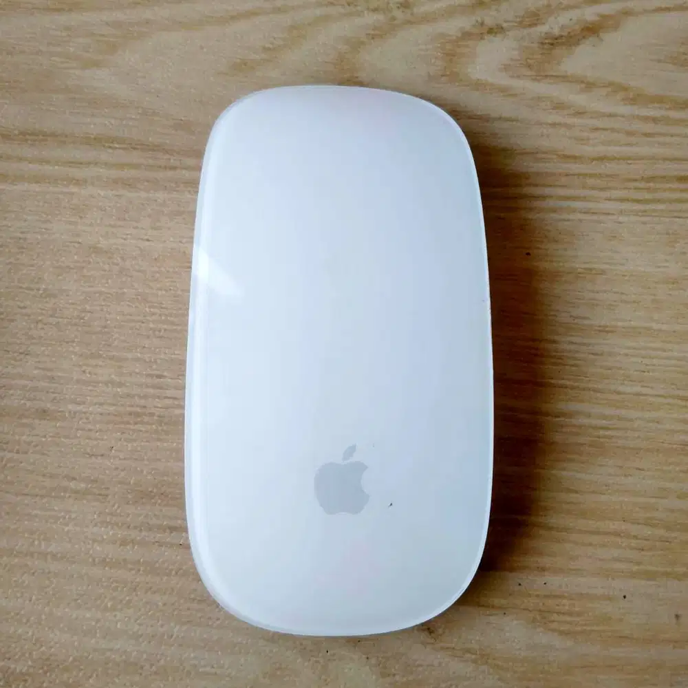 Apple Magic Mouse 2 Original Copotan