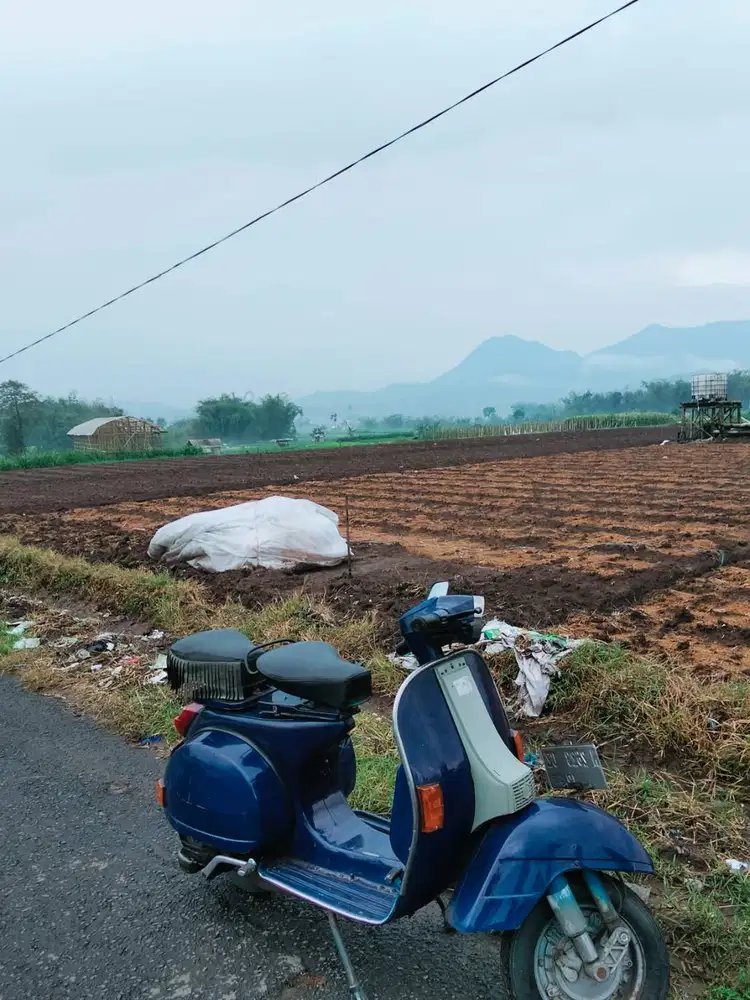 Vespa Px 150 Exlusif 1986