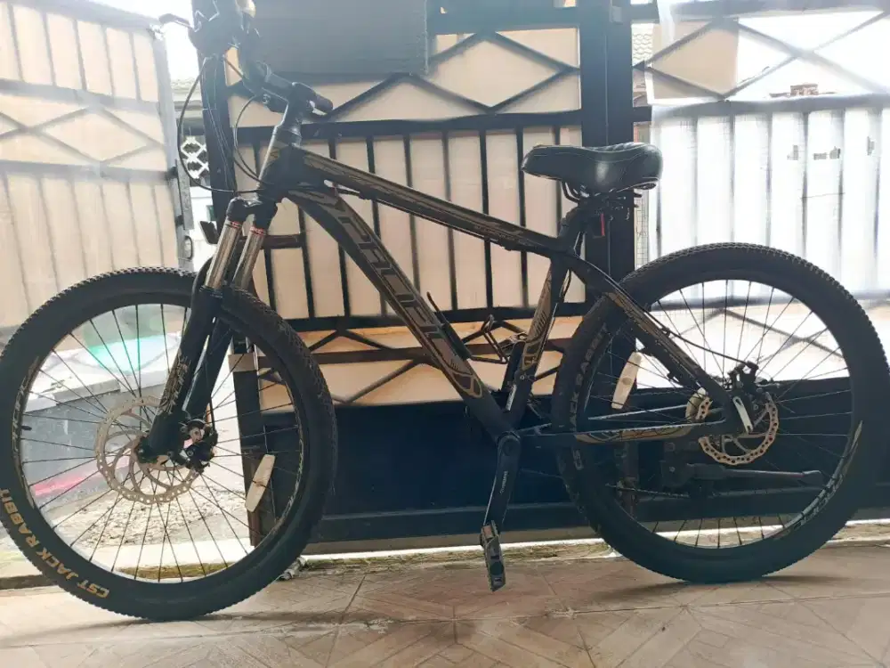 Pacific Invert 300 XT Sepeda Gunung MTB [26 Inch]
