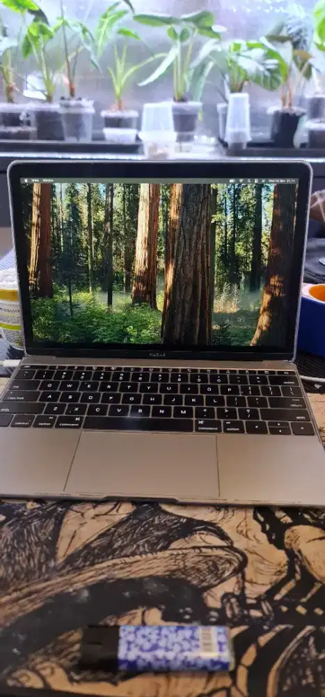 Macbook retima 12 inch 2015 ram 8gb internal 256gb