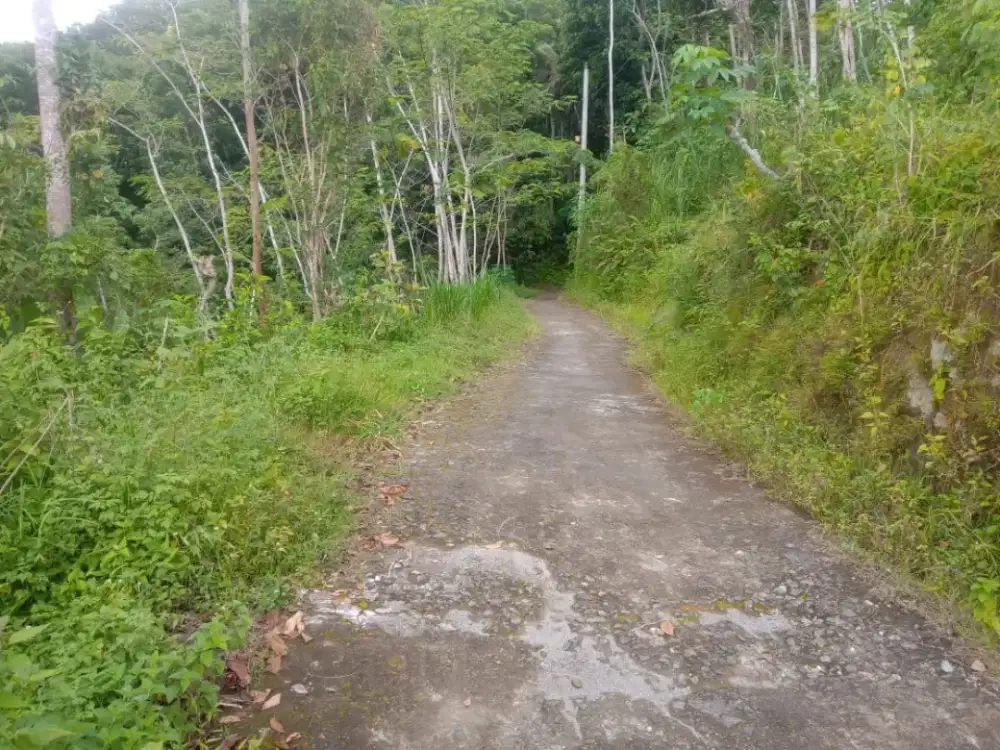 Jual tanah di Kalirejo Kokap