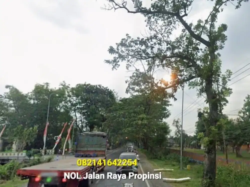Dijual, Tanah LD 124 mtr NOL Jalan Raya Propinsi Madiun-NGAWI, Mantapp