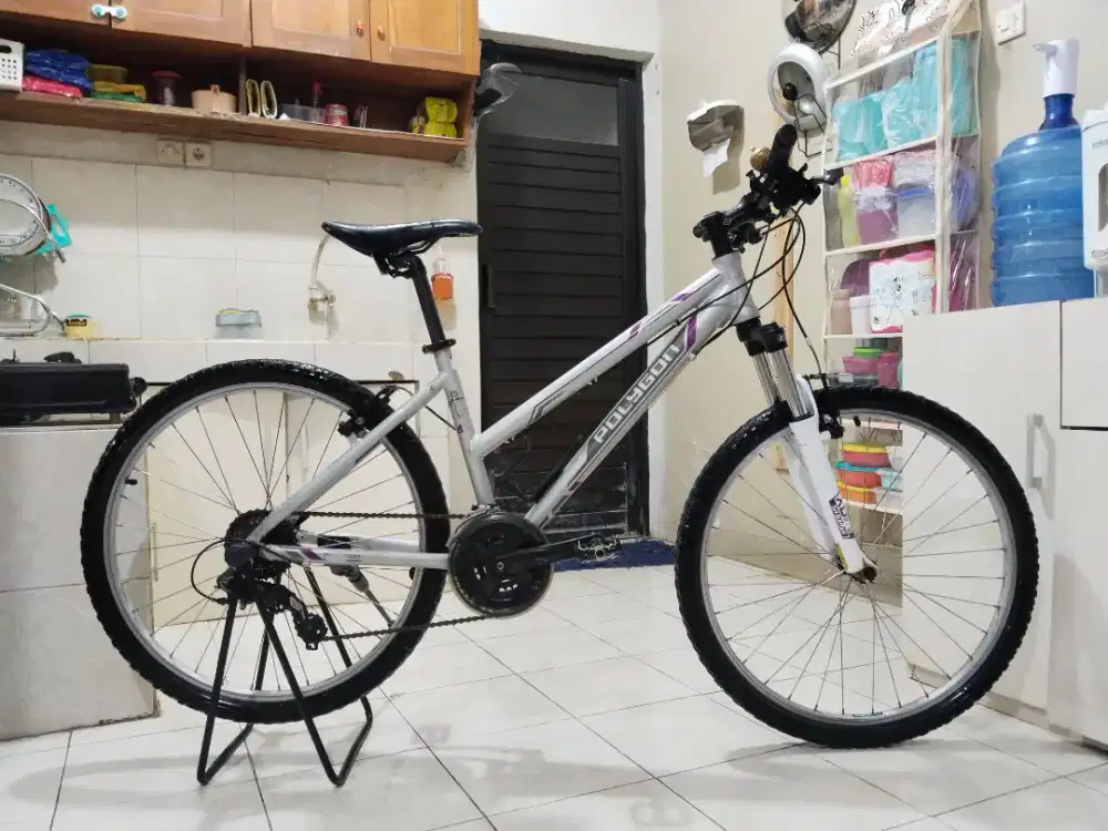 Sepeda polygon premier