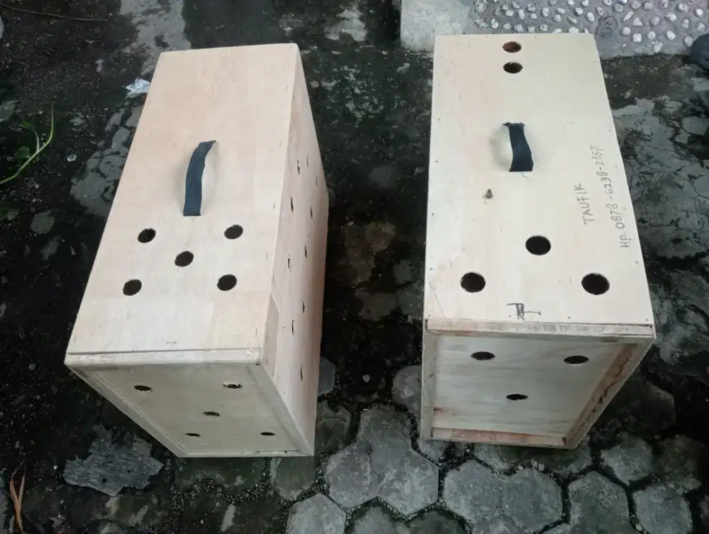Box untuk kirim ayam