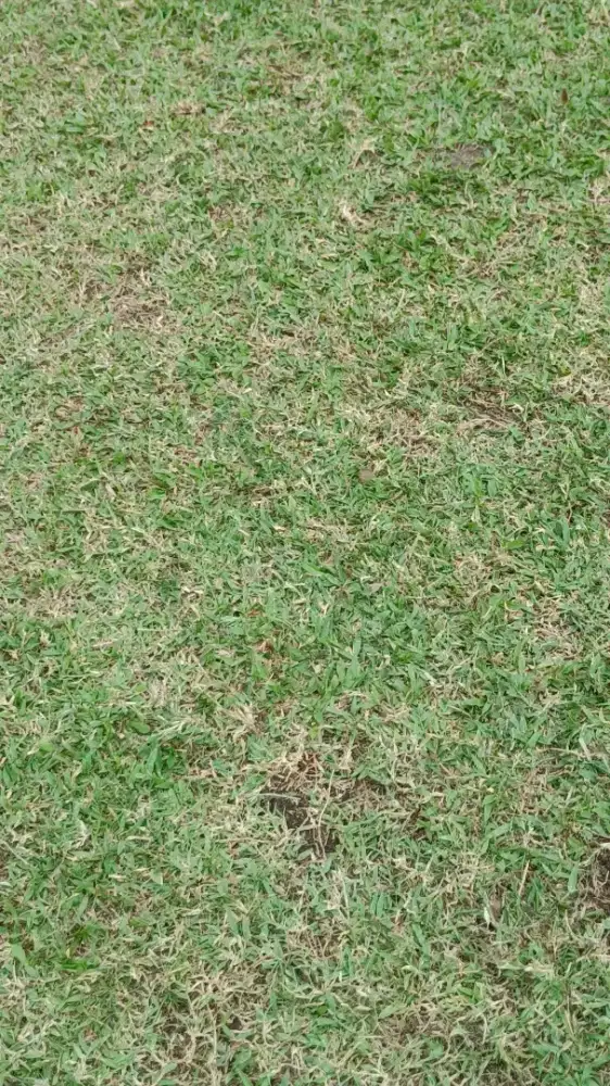 art nginap atau pp di ciputat