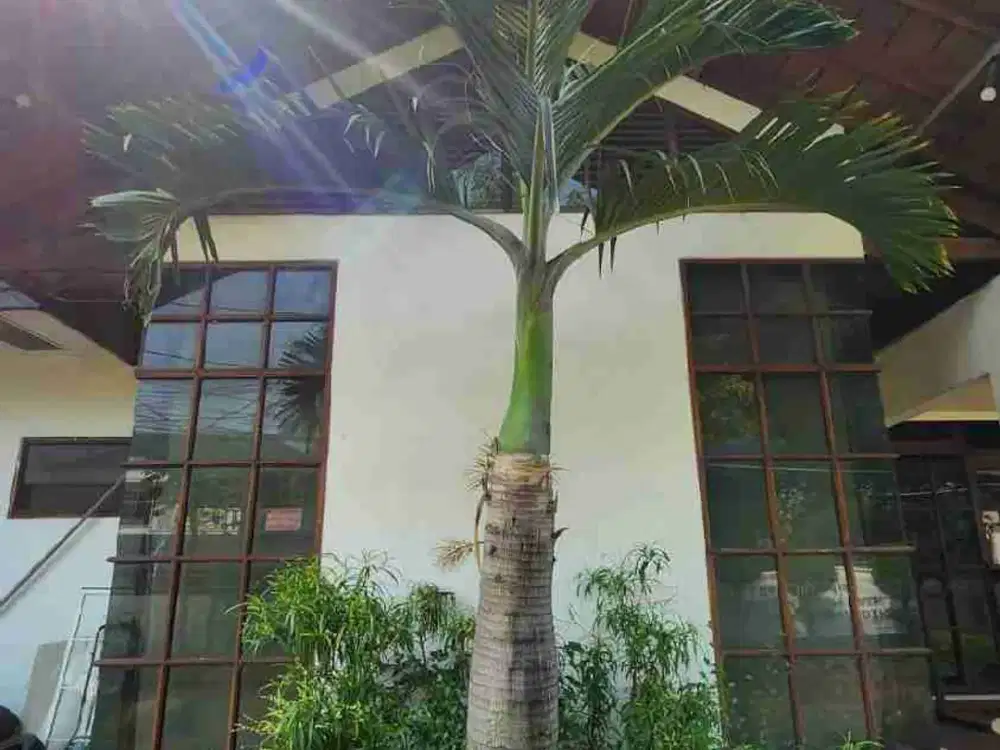 dijual murah rumah kemang pinggir jalan raya