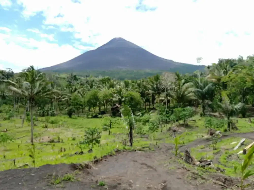Tanah besar perkebunan pertanian agrowisata