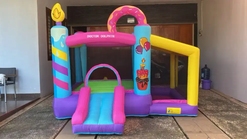 Bouncy doctor dolphin