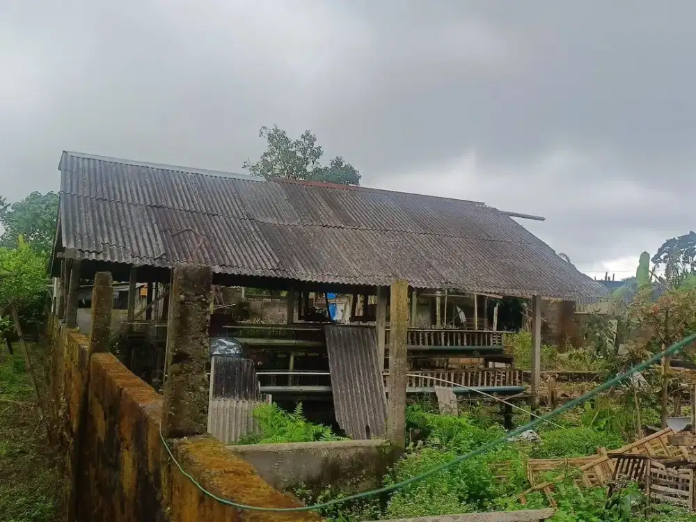 DIJUAL 1 BIDANG TANAH DENGAN TOTAL LUAS 600 M2 BERIKUT BANGUNAN - BULELENG